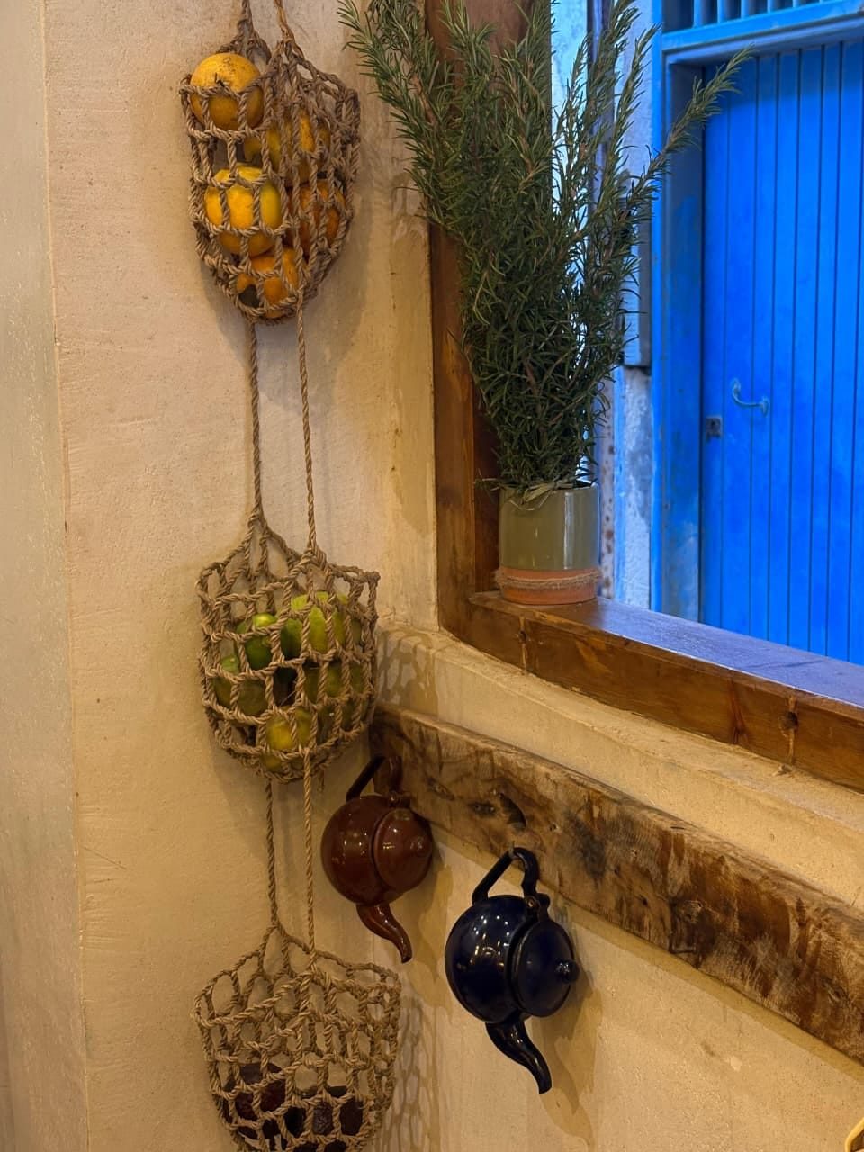Hanging baskets of lemons and limes beside a rosemary plant at Simane's window